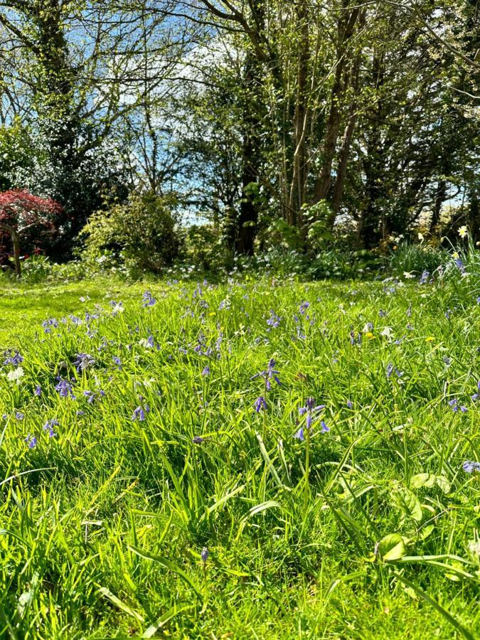 Peaceful Cottage With Private Garden Hailsham Esterno foto